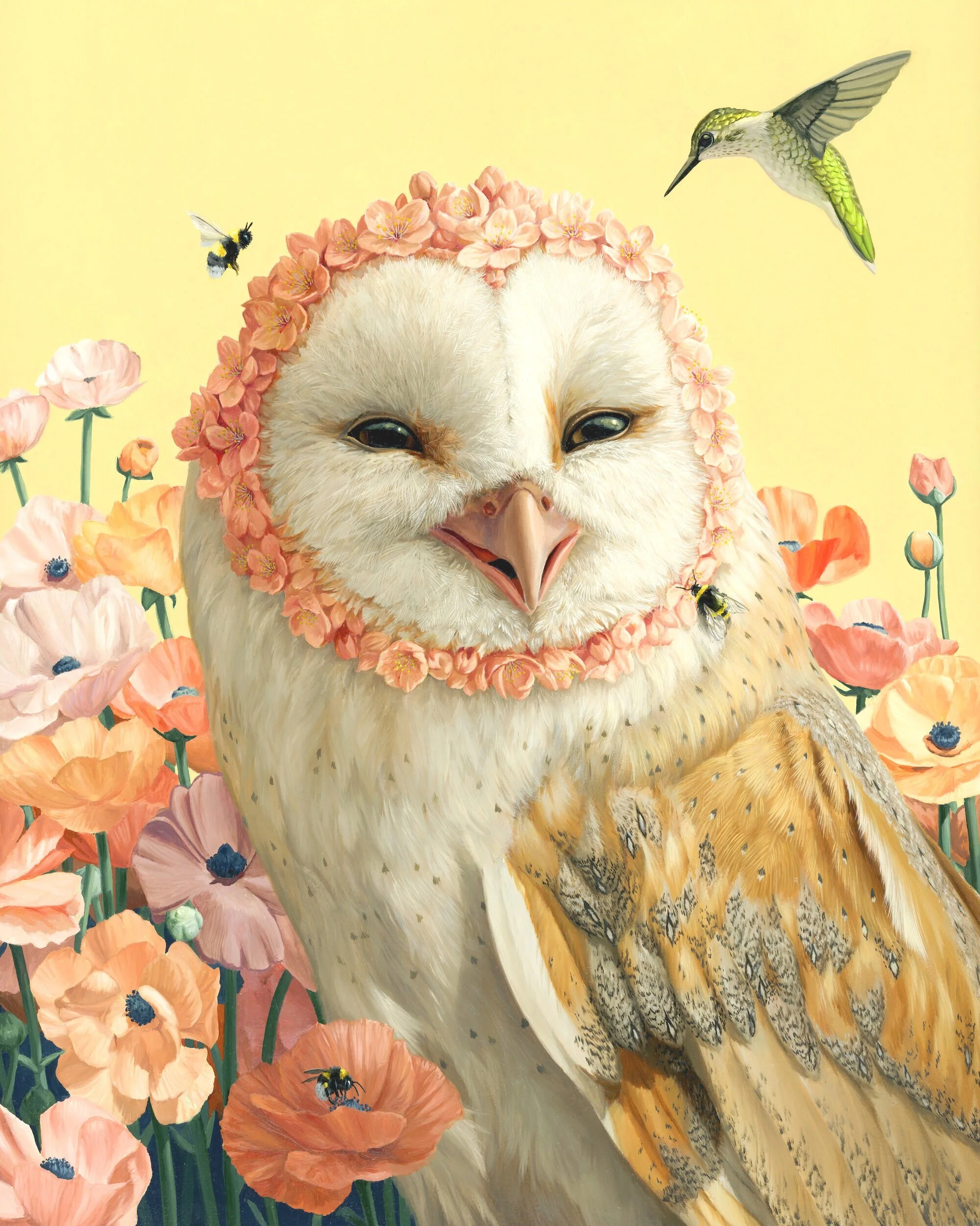 Shop — Jon Ching Art